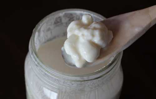 Как ухаживать за молочным грибом: как мыть, что