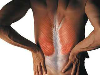 Болят мышцы спины: причины, это заболевание может
